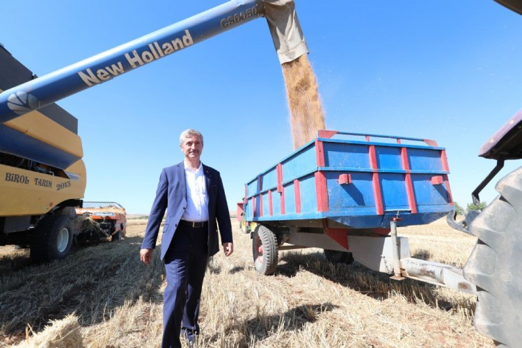 Başkan Tahmazoğlu Ekimini Yaptığı Buğdayların Hasat Sevincine Ortak Oldu