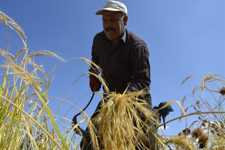 Çiftçinin Takibe Düşen Borcu İki Katına Çıktı