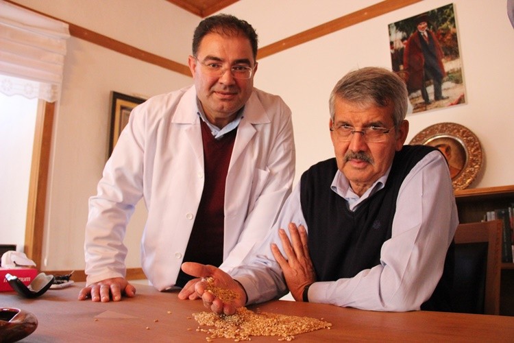Cumhuriyetin 100’üncü yılına 2 bin yıllık Ahmet Buğday’ı tohumu