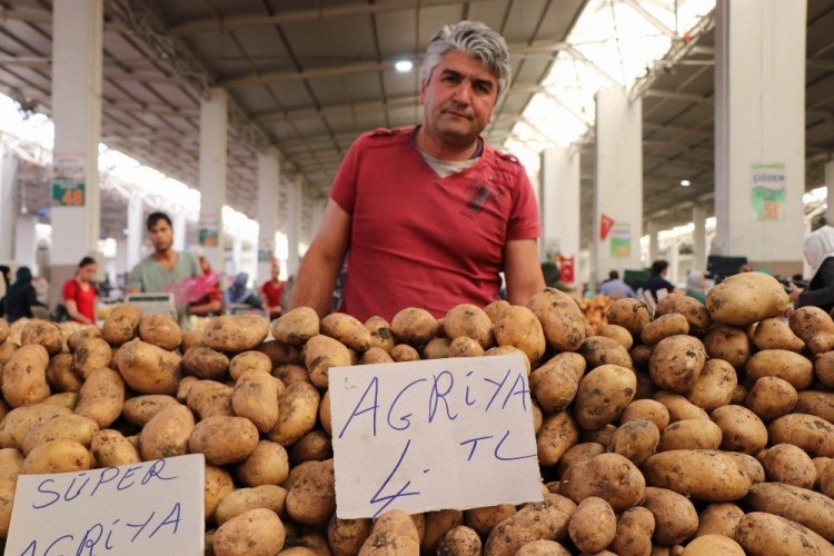 Türkiye Neden Suriye’den Patates Alıyor? Patatesle İlgili Bilmeniz Gerekenler