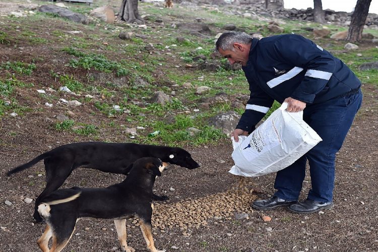 Can dostlar emin ellerde