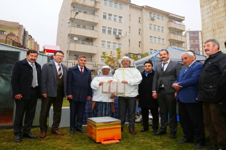 “Yaylada Evim Var Projesi” Kapsamında Çiftçilere Arıcılık Malzemeleri Dağıtıldı