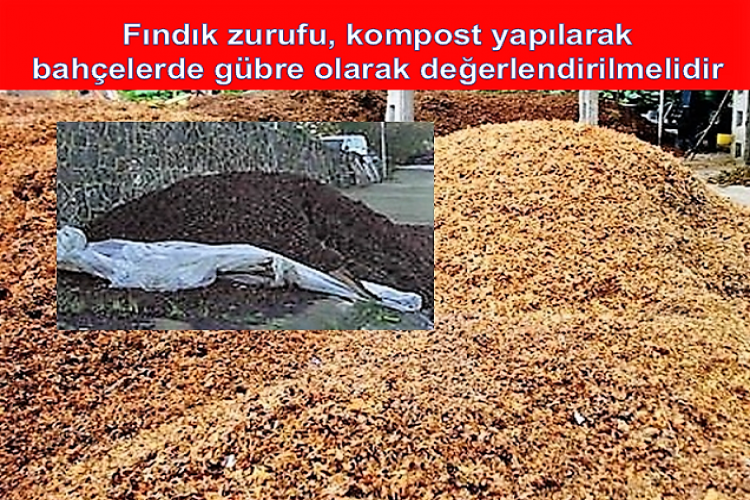 Fındık zurufu, kompost yapılarak bahçelerde gübre olarak değerlendirilmeli