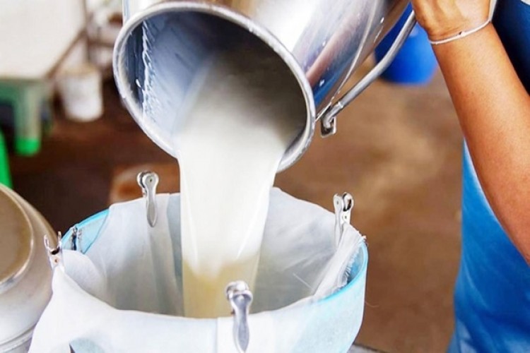 Süt Prim Desteği 25 Kuruştan 10 Kuruşa Düşecek
