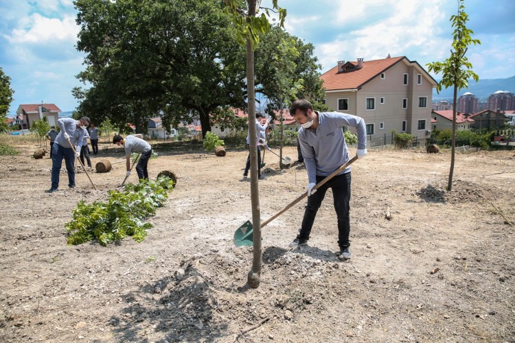 Koreli Firmadan Gazi ve Şehitlerimize “Vefa Ormanı”