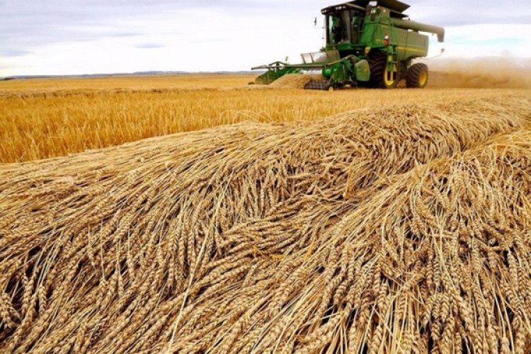 Gaytancıoğlu: İktidarın Buğdayda Uyguladığı Politika İflas Etmiştir