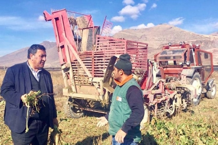 Gürer: “Kırsalda Karantinalar Artarsa Tarımda Sorun Yaşanır”