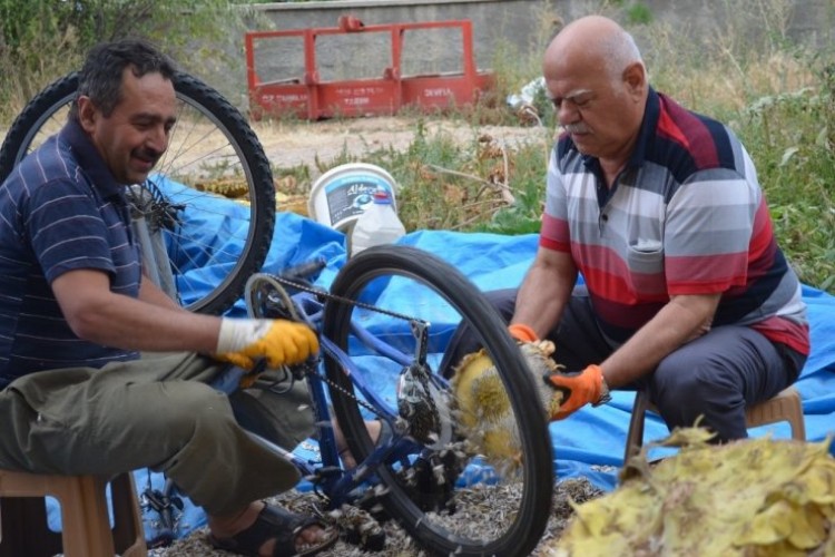 Ay çekirdeği ayıklamanın kolay yolu