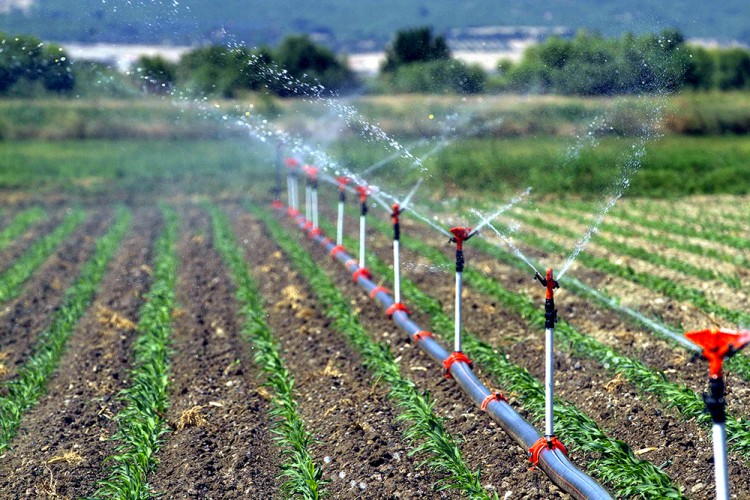 Şanlıurfa' da, 481 Bin 810 Dekar Arazi Sulandı