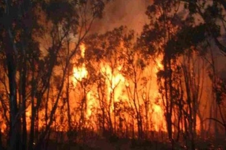 Bakan Pakdemirli: “Bugün 11 ilde meydana gelen 14 orman yangınından 10’u kontrol altında, 1’ni söndürdük 3’ünde müdahale sürüyor”