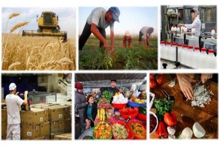 Karadeniz Ekonomik İşbirliği üye ülkeleri arasında sürdürülebilir gıda sistemleri konusunda işbirliği