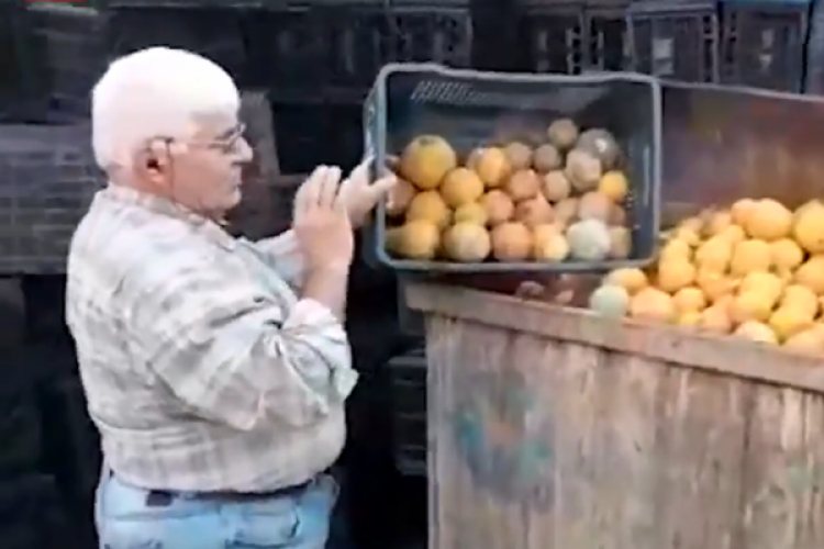 Çiftçi Mahsulünü Gözyaşları İçinde Çöpe Döktü