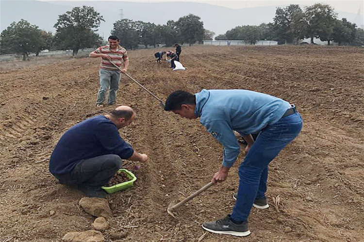 Büyükşehir’den Kırsal Kalkınmaya Destek