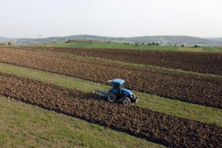 "Türkiye'nin en büyük çiftliği"nde hasat bitmeden ekim başladı