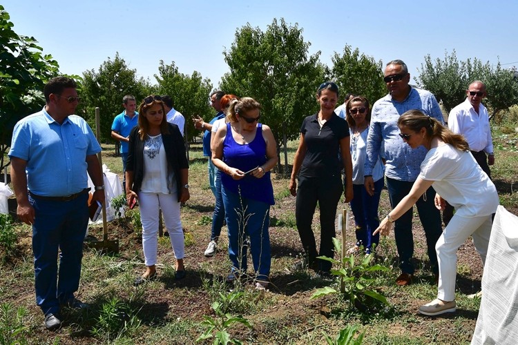 Çorlu’da Hobi Bahçeleri Projesi İçin Tarım Komisyonu İncelemelerde Bulundu