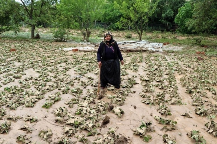 Yozgat’ta Yaşanan Sel Felaketi Sonrası Zarar Gün Yüzüne Çıktı