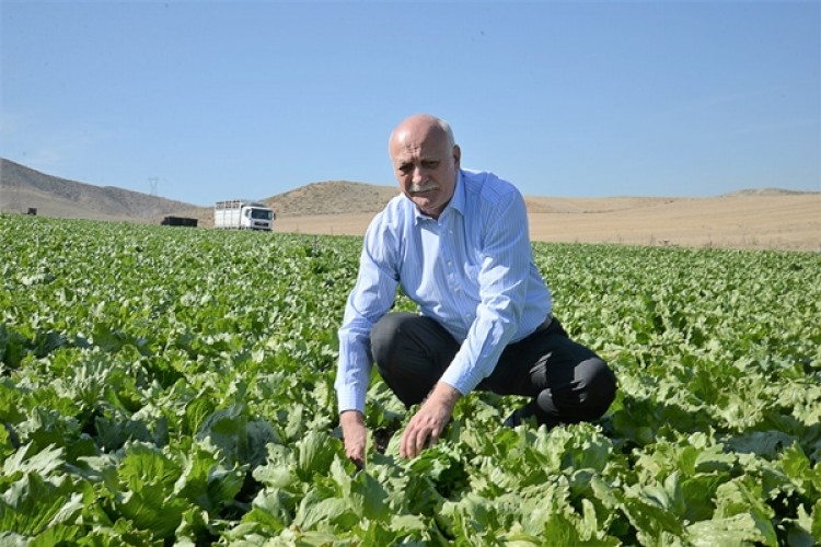 Bayraktar, Çiftçilerle İlgili Acı Gerçeği Açıkladı!