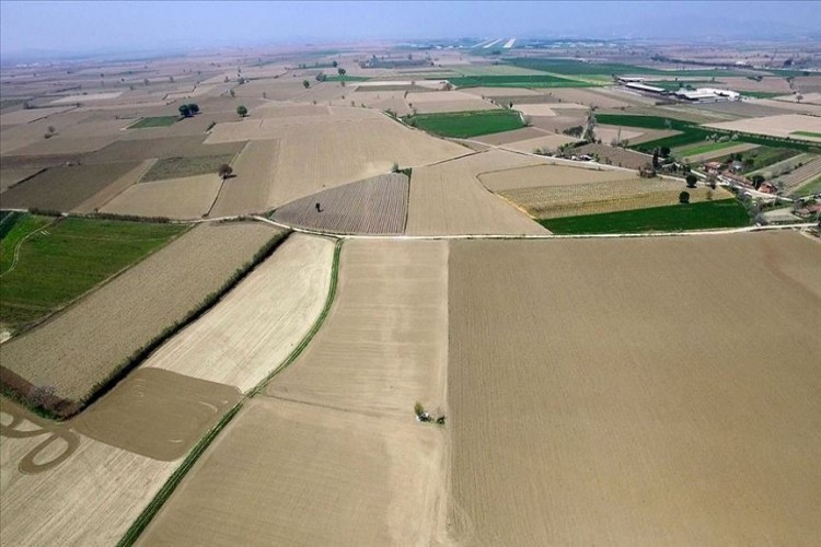 Hazineye Ait Tarım Arazileri Kullanıcılara Satılacak