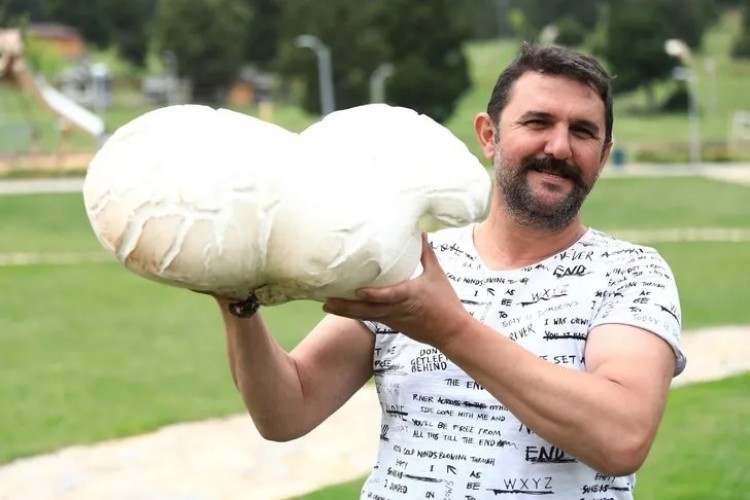 Dev Mantar Görenleri Şaşırttı