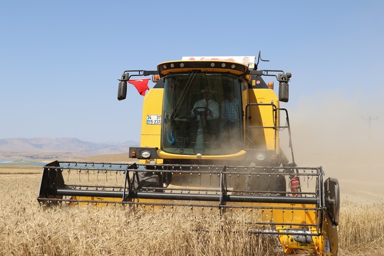 Elazığ'da Yaklaşık 1 Milyon Dekar Buğday ve Arpa Ekimi Gerçekleşti