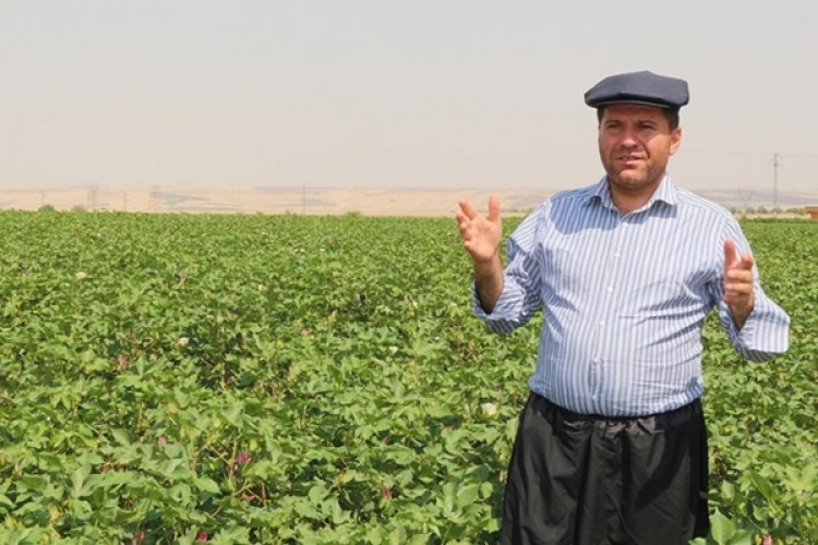 Mahkeme Karar Verdi, Çiftçinin Destekleme Primlerine Bloke Konulamayacak