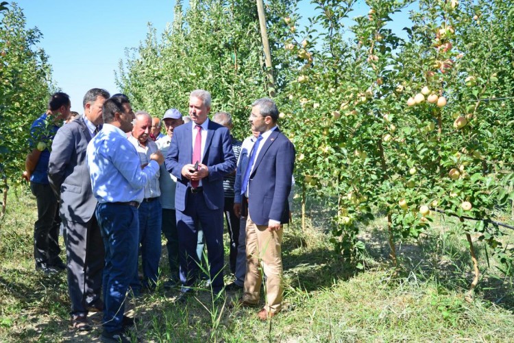 Elma İç Kurduna Karşı Biyoteknik Mücadele Yaygınlaştırılacak