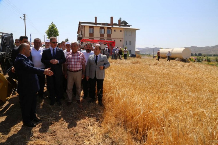 Türkiye'nin Buğday Ambarında Hasat Başladı