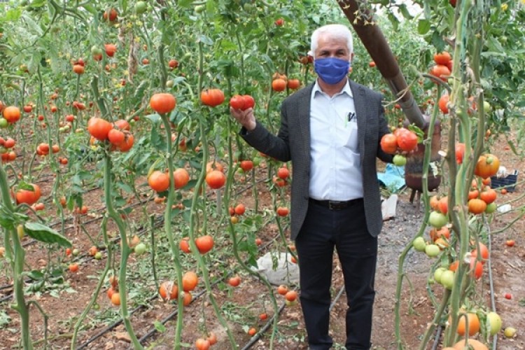 Üreticilerin Korona Endişesi