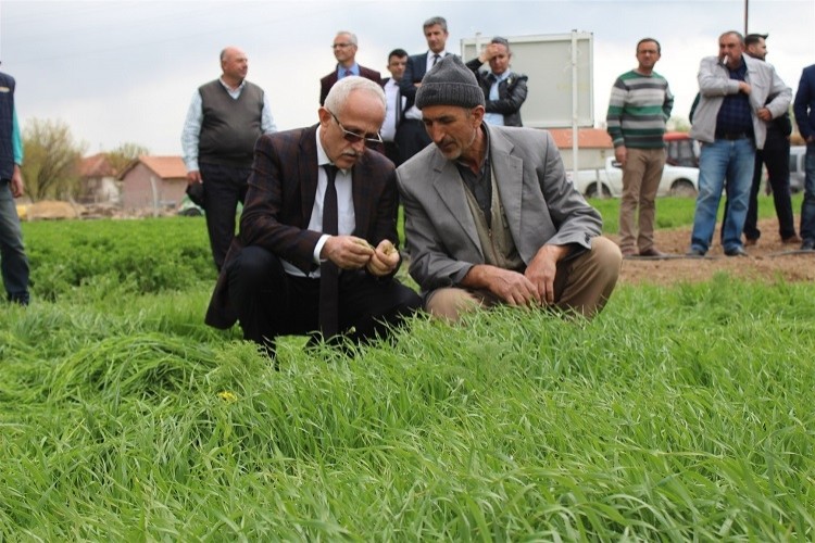 Ryegrass Demonstrasyonundan Olumlu Sonuç Alındı