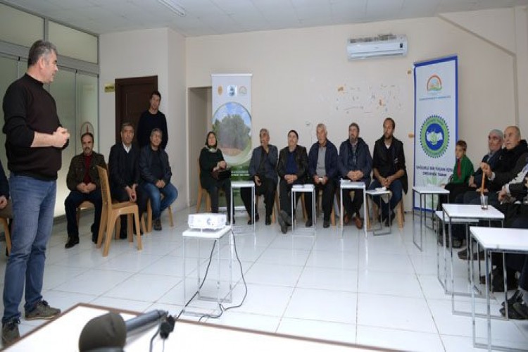 Kahramanmaraş’ta Organik Zeytin Yetiştiriciliği Başlıyor