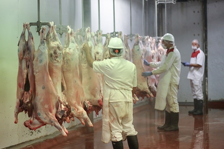 Ukrayna'dan Et İthaline İzin Çıktı