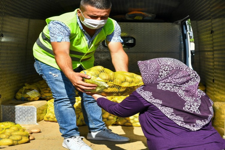 İzmir Büyükşehir, Üreticilerden 100 Ton Patates Aldı