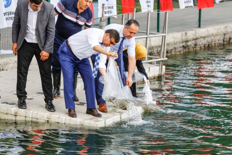 Başkent Gölleri 'Balık' Üretecek
