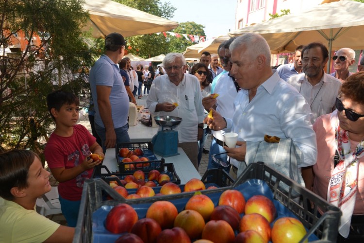 Tahtalı Şeftalisi Bu Festivalle Adını Duyuruyor