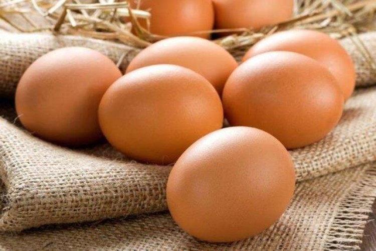 Tavuk Yumurtası Ve Et Üretimi Arttı