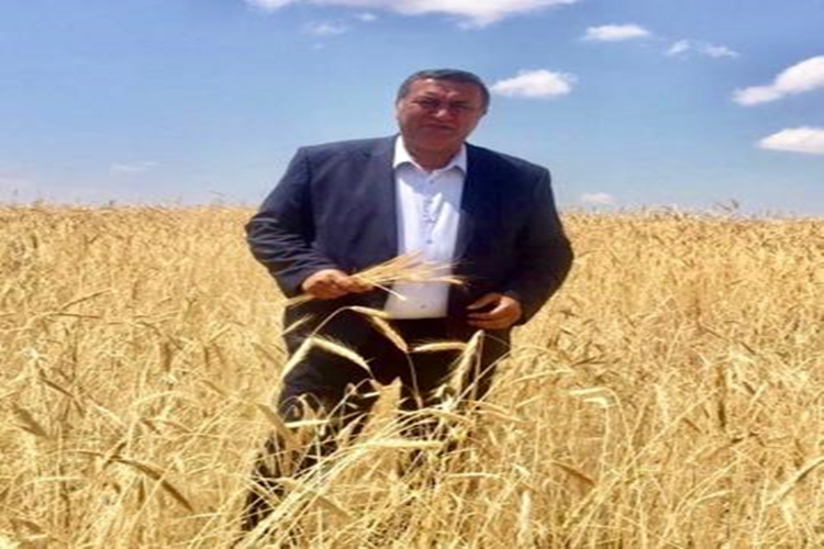 Bir Ton Buğdayla 2002 yılında 33 gr Altın Alan Çiftçi 2020 Yılında 4 Gram Alabiliyor