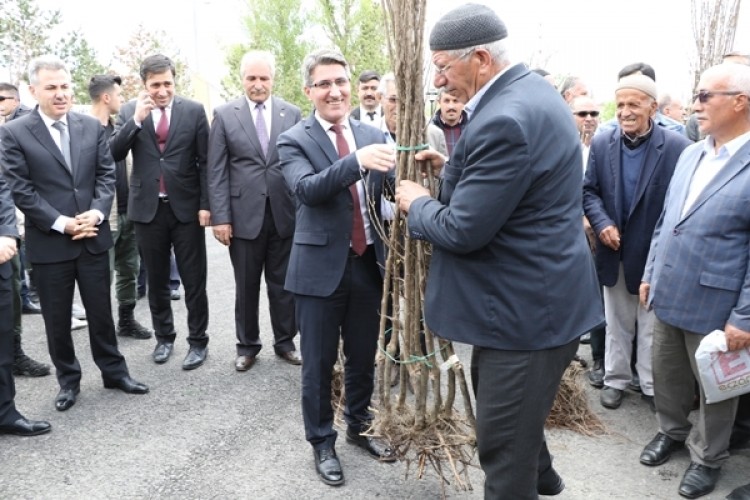 Meyve Fidanları Toprakla Buluşuyor