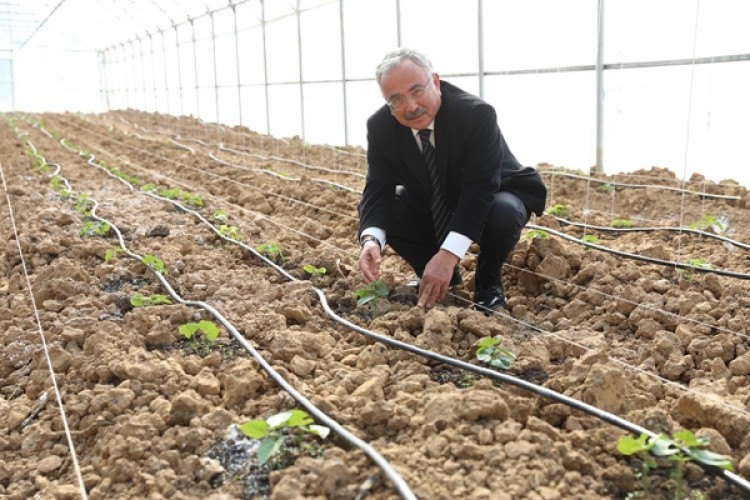 Başkan Güler, “Tarım Alanında Yeni Bir Ordu Modeli Oluşturuyoruz”