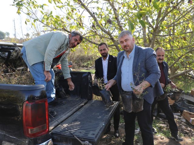 Hatay Büyükşehir, Yayladağı’nda aromatik bitki fideleri dağıttı