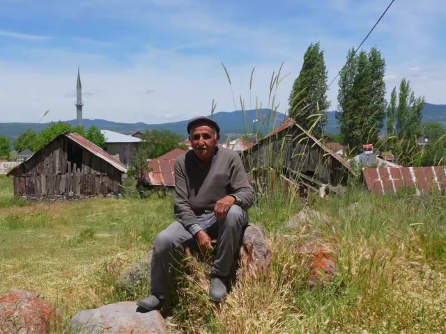 Kıbrıscık pirincinin 300 yıllık tarihi Bolu'da canlanıyor